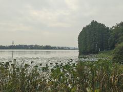 -东湖落雁景区
