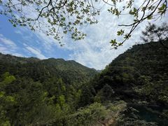 -大奇山国家森林公园