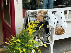 -溪岸路花鸟市场