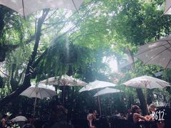 -Fern Forest Cafe