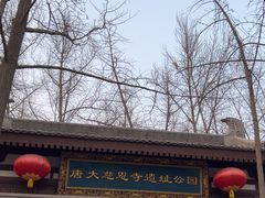 -大慈恩寺(大雁塔)