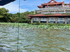 -西湖游船