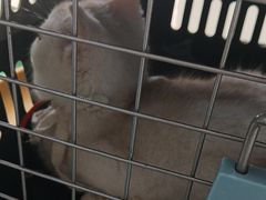 -拜鲁耶动物诊疗中心·宠家动物医院