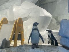 -合肥海洋世界
