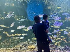 -华夏文旅海洋公园