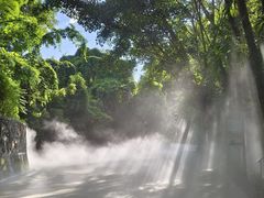 -西双版纳原始森林公园