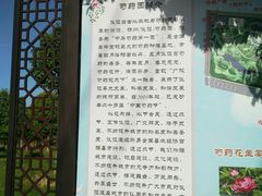 -扬州芍药园(仪征市)