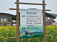 -中国天府农业博览园