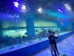 -常州海昌海洋探索馆