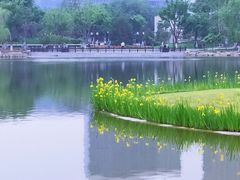 -西海子公园
