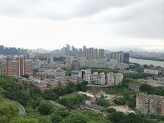 -福道