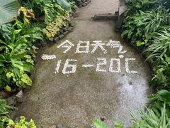 -山城巷传统风貌区