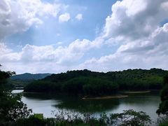 -天鹿湖森林公园
