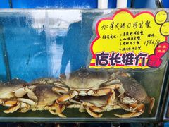-蚝专家(北滘店)