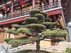 -庐山风景名胜区-东林大佛