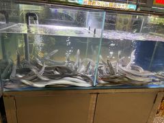 -本炙炭烤·蒲烧活鳗料理店(金沙洲店)