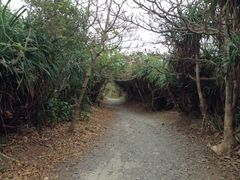 -龙坑生态保护区