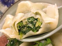 -九斤黄三黄鸡专卖店