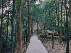 -火炉山森林公园