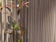 -湘满甲·黄焖甲鱼创始者·湘菜·鲁菜(潘家园店)