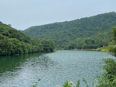 -桃花岭景区