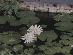 -怪物的冰与火(天虹商场中山路店)