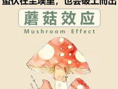 -壹点灵·心理咨询中心(中山公园店)
