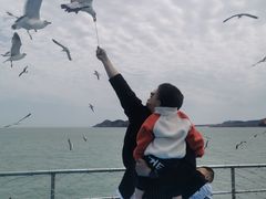 -海驴岛(荣成市)