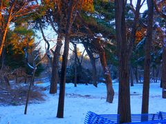 -长春市南湖公园