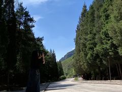 -藏山旅游风景区