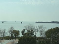 -新食谱全日制餐厅·苏州苏州湾艾美酒店