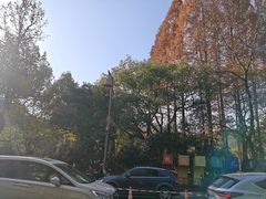 -杭州少年儿童公园