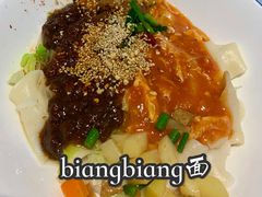 -大嘻咹biangbiang面(历史博物馆店)