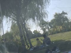 -瑶湖郊野森林公园