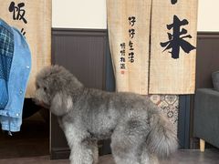 -沏点Trattoria意大利餐厅(新街口店)
