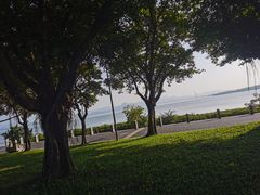 -深圳湾公园(南山区)