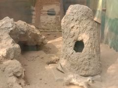 -昆明动物园