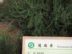 -上海都市菜园
