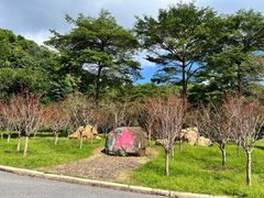 -广州市帽峰山景区