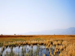 -野鸭湖国家湿地公园