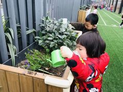 -蒙田森·蒙特梭利幼儿园(锦西园区)