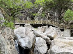 -洛阳白云山景区