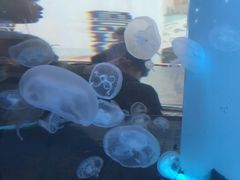 -唱吧麦颂KTV(东胜港悦广场店)