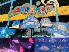 -泉城欧乐堡海洋极地世界