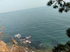 -棒棰岛宾馆景区