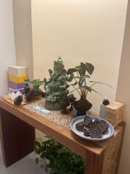 -阿南达·瑜伽普拉提·阿育吠陀疗愈中心