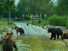 -北京野生动物园