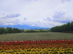 -富田农场
