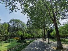 -东升八家郊野公园