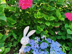 -上海共青森林公园